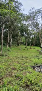 Lote/Terreno à venda, 230m² no Jamaica - Interior, Itanhaém