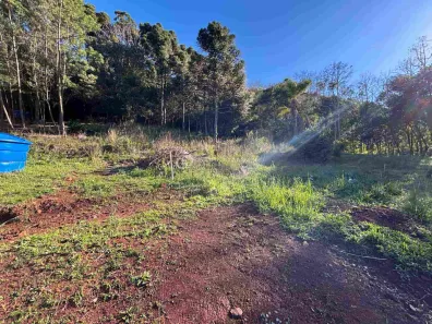 Lote/Terreno à venda, 390m² no Carazal, Gramado