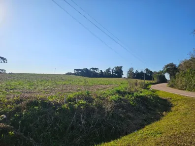Fazenda/Sítio à venda, 21529m² no Área Rural de Araucária, Araucária