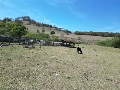 Lote/Terreno à venda, 360000m² no Itapeva, Itapeva