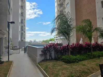 Apartamento com 2 Quartos para alugar, 36m² no Cidade Patriarca, São Paulo