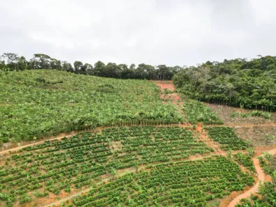 Lote/Terreno à venda, 1200000m² no , Marechal Floriano