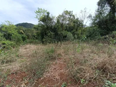 Lote/Terreno à venda, 20000m² no , Nova Petrópolis