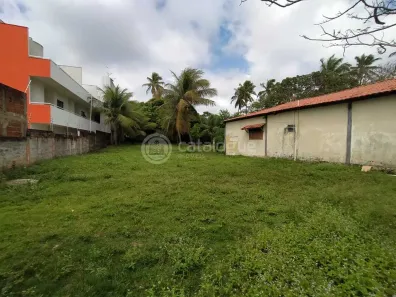 Lote/Terreno à venda, 5000m² no Barra de Tabatinga, Nísia Floresta