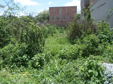 Lote/Terreno à venda, 300m² no Cachoeira, Betim