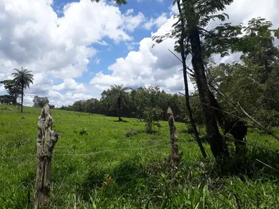 Fazenda/Sítio à venda, 20000m² no , Caeté
