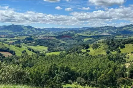 Fazenda/Sítio com 2 Quartos à venda, 132m² no NOGUEIRAS, Socorro