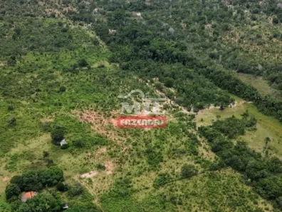 Fazenda/Sítio à venda, 100000000m² no , Tesouro