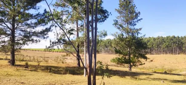Lote/Terreno à venda, 27700m² no Centro, Águas de São Pedro