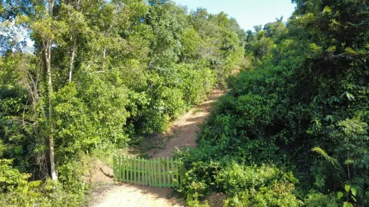 Lote/Terreno à venda, 65000m² no , Iranduba