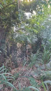 Lote/Terreno à venda, 267m² no Maria Paula, São Gonçalo