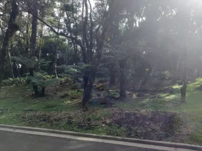 Lote/Terreno à venda, 2358m² no Mato Queimado, Gramado