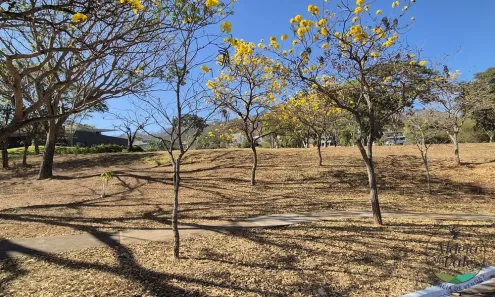 Lote/Terreno com 1 Quarto à venda, 1929m² no Residencial Aldeia do Vale, Goiânia