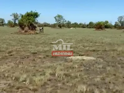 Fazenda/Sítio à venda, 500m² no , Luciára