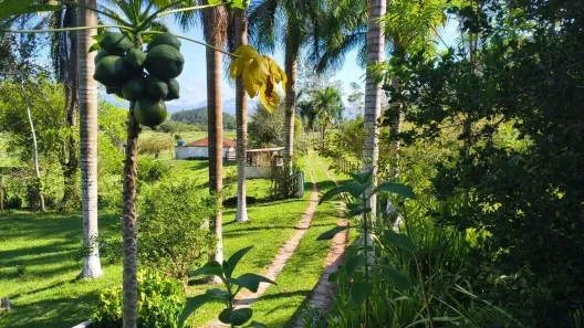Fazenda/Sítio com 3 Quartos à venda, 480000m² no Boqueirão, Silva Jardim
