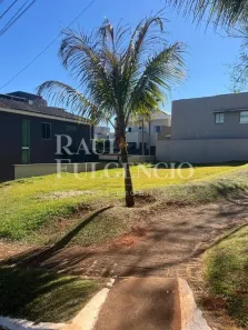 Lote/Terreno à venda, 330m² no Esperança, Londrina