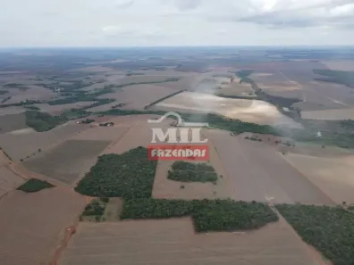 Fazenda/Sítio à venda, 500m² no Centro, Jataí