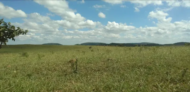 Lote/Terreno à venda, 20000m² no , Cordisburgo