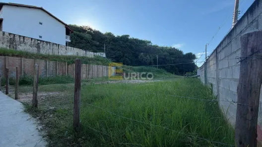 Lote/Terreno para alugar, 290m² no Jardim das Palmeiras, Valinhos