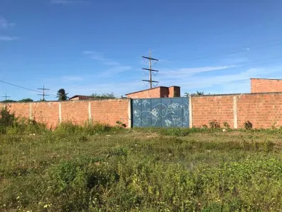 Lote/Terreno para alugar, 201m² no Conjunto Palmeiras, Fortaleza
