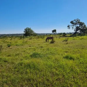 Fazenda/Sítio à venda, 55000m² no Área Rural de Campo Grande, Campo Grande