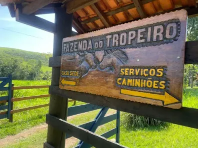 Fazenda/Sítio com 3 Quartos à venda, 822800m² no , Silveiras