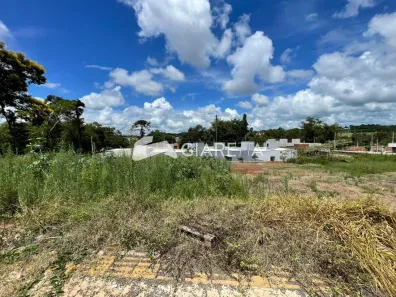 Lote/Terreno à venda, 258m² no Vila Pioneiro, Toledo