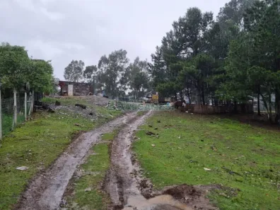 Lote/Terreno à venda, 5551m² no Nossa Senhora do Rosário, Caxias do Sul