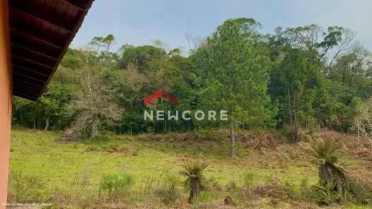 Lote/Terreno com 1 Quarto à venda, 100m² no Centro, São Francisco de Paula