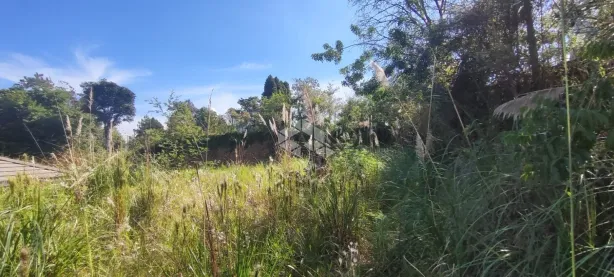 Lote/Terreno à venda, 418m² no América, Farroupilha