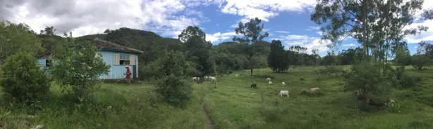 Fazenda/Sítio com 1 Quarto à venda, 149421m² no , Imaruí