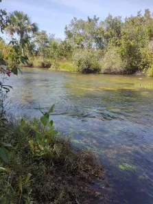 Fazenda/Sítio à venda, 400m² no , Cocalinho