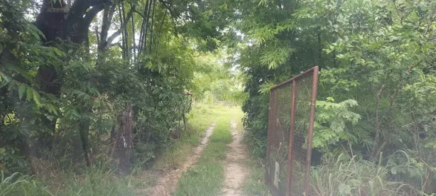 Fazenda/Sítio com 1 Quarto à venda, 42331m² no Quinta da Boa Vista, Aparecida de Goiânia