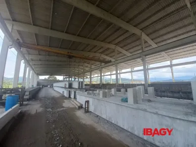Galpão/Depósito/Armazém para alugar, 4500m² no , Paulo Lopes