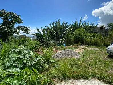 Lote/Terreno à venda, 379m² no Agronômica, Florianópolis