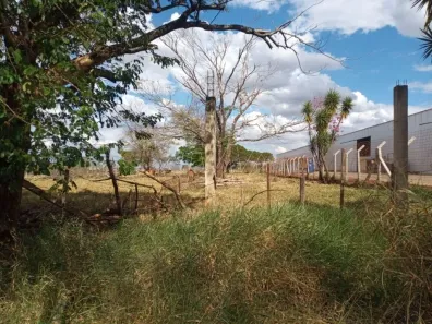 Fazenda/Sítio à venda, 10641m² no Parque Tropical, Araraquara
