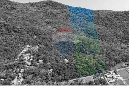 Lote/Terreno à venda, 106000m² no Pântano do Sul, Florianópolis