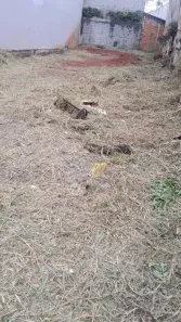Lote/Terreno à venda, 330m² no Baeta Neves, São Bernardo do Campo