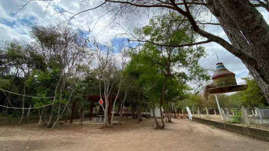 Fazenda/Sítio com 3 Quartos à venda, 120m² no Área Rural de Crato, Crato
