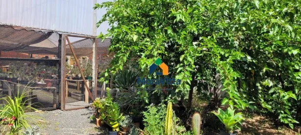 Lote/Terreno à venda, 200m² no Jardim das Palmeiras I, Nova Odessa