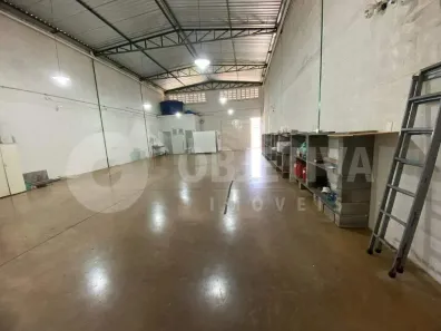 Galpão/Depósito/Armazém para alugar, 330m² no Alto Umuarama, Uberlândia