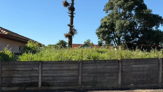 Lote/Terreno à venda, 462m² no Orfãs, Ponta Grossa