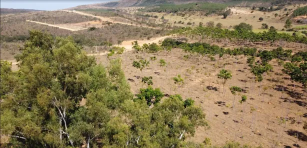 Lote/Terreno à venda, 20012m² no , Cordisburgo