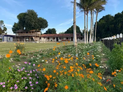 Fazenda/Sítio com 15 Quartos à venda, 113m² no , Jaguaquara