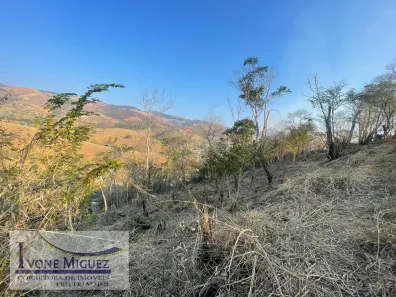 Lote/Terreno à venda, 2800m² no Maravilha, Paty do Alferes