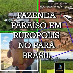 Fazenda/Sítio com 3 Quartos à venda, 5000000m² no Rurópolis, Rurópolis