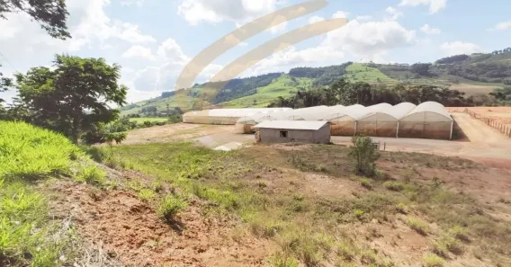 com 2 Quartos à venda, 24200m² no , Divinolândia