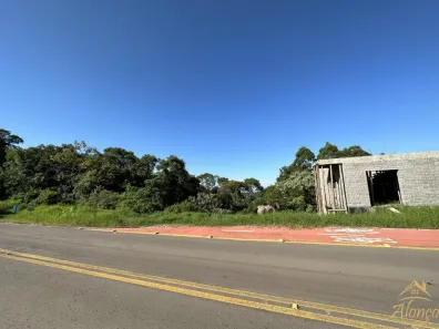 Lote/Terreno à venda, 20m² no Linha Olinda, Nova Petrópolis