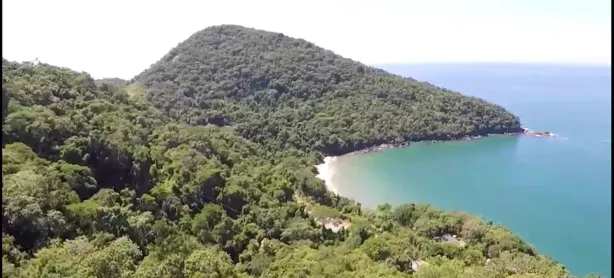 Fazenda/Sítio com 4 Quartos à venda, 200000m² no Praia do Itamambuca, Ubatuba