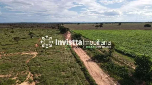 Fazenda/Sítio com 2 Quartos à venda, 2163m² no Setor Central, Palmeirante